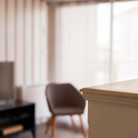 דירה Superbe Appart.55m2 - 200m Ocean Et Parking ביסקארוס