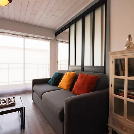 דירה Superbe Appart.55m2 - 200m Ocean Et Parking ביסקארוס